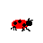 ladybug, from babykill by matt